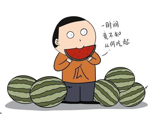 吃瓜小豆说娱乐,吃瓜小豆带你揭秘娱乐圈最新热点