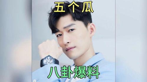 娱乐圈的吃瓜爆料有哪些,揭秘明星背后的故事与真相